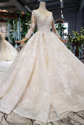 Princess Sleeves Tulle Ball Gown Lace Long Wedding Dress