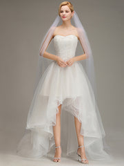 One Layer Cathedral Length Wedding Veil