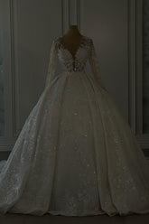 Elegant Long Tulle Lace V-neck Ball Gown Wedding dresses with Long Sleeves