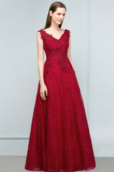 Long V-neck Tulle Lace A-line Evening Formal Dress