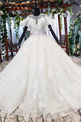 Gorgeous Ball Gown Long Tulle Lace Wedding Dress with Sleeves