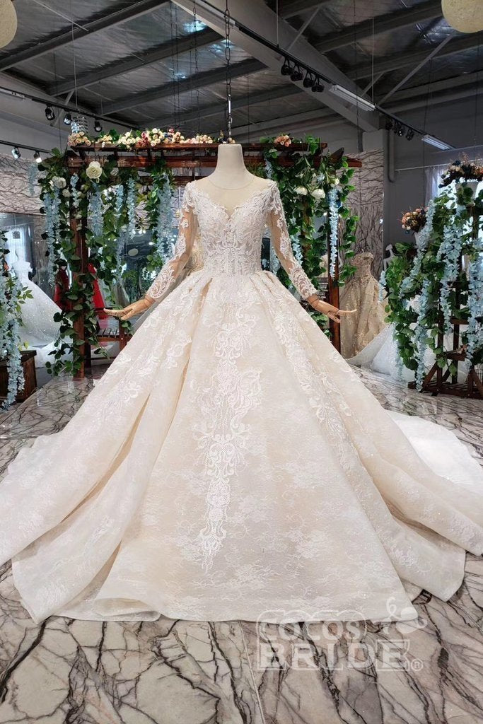 Princess Sleeves Tulle Ball Gown Lace Long Wedding Dress