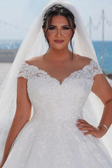 Plus Size Long A-line Off the Shoulder Tulle Lace Wedding Dress with Cap Sleeves