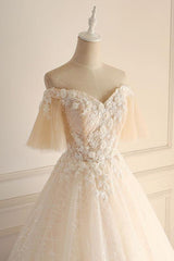 Champagne Long A-line Off the Shoulder Tulle Lace Wedding Dress with Sleeves