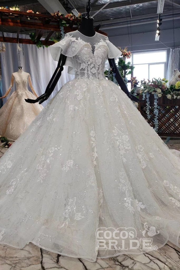 Gorgeous Ball Gown Long Tulle Lace Wedding Dress with Sleeves