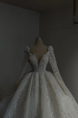 Ivory Long Ball Gown V-neck Tulle Lace Wedding Dresses with Sleeves