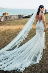 Sexy Long Mermaid Deep V-Neck Lace Tulle Backless Wedding Dress with Train
