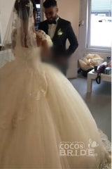 Pretty Long Sleeves Ball Gown Sweetheart Tulle Lace Appliques Wedding Dress