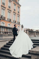 Glitter Long A-line Sweetheart Sequins Backless Wedding Dresses with Sleeves