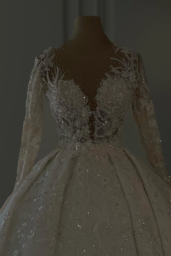 Elegant Long Tulle Lace V-neck Ball Gown Wedding dresses with Long Sleeves
