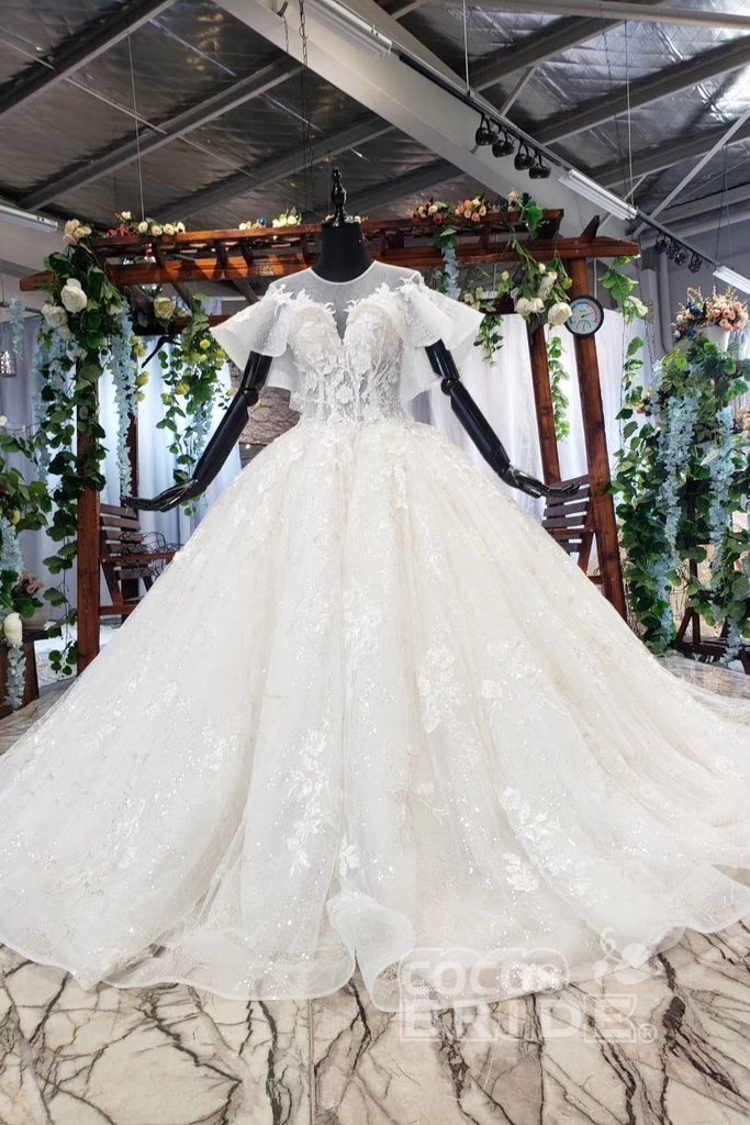Gorgeous Ball Gown Long Tulle Lace Wedding Dress with Sleeves