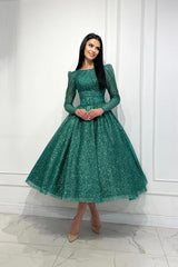Long Sleeve Crew Neck A Line Tulle Sequin Party Dress