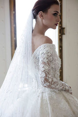 Gorgeous Long Off the Shoulder Backless Appliques Lace A-Line Wedding Dress with Long Sleeve