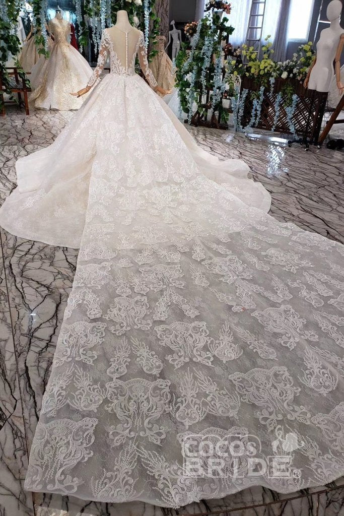 Princess Sleeves Tulle Ball Gown Lace Long Wedding Dress