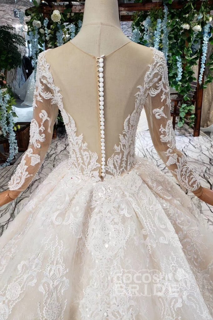 Princess Sleeves Tulle Ball Gown Lace Long Wedding Dress