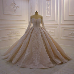 Gorgeous Off the Shoulder Long Sleeve Appliques Lace Ball Gown Wedding Dress