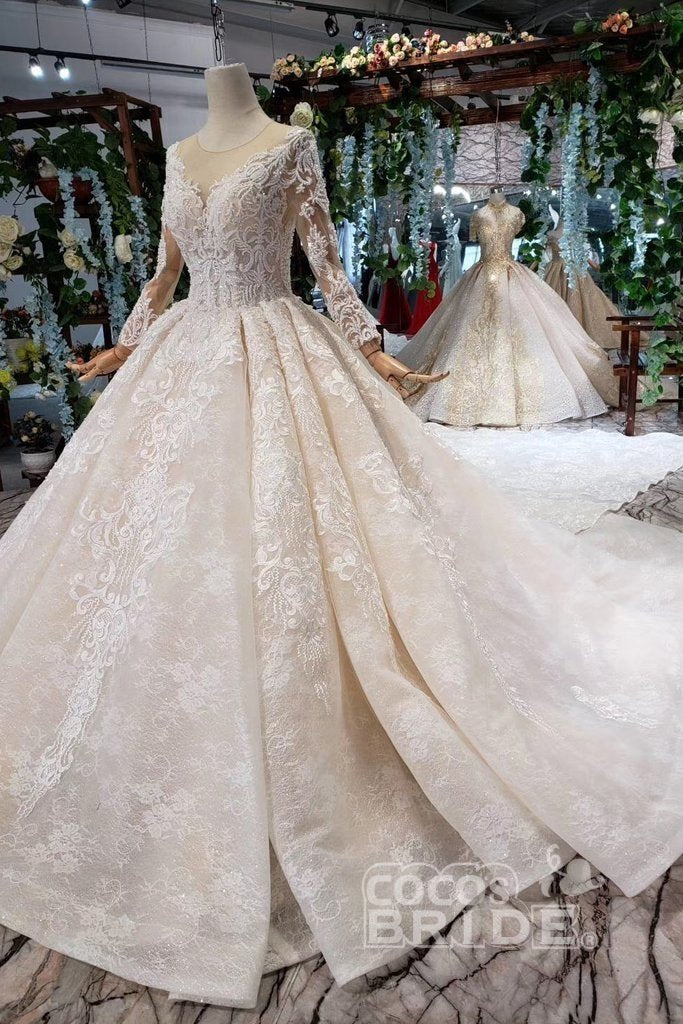 Princess Sleeves Tulle Ball Gown Lace Long Wedding Dress