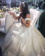 Modest Long A-line Off the Shoulder Tulle Wedding Dress with Lace
