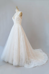 Long A-line V-neck Backless Appliques Tulle Chapel Train Wedding Dress
