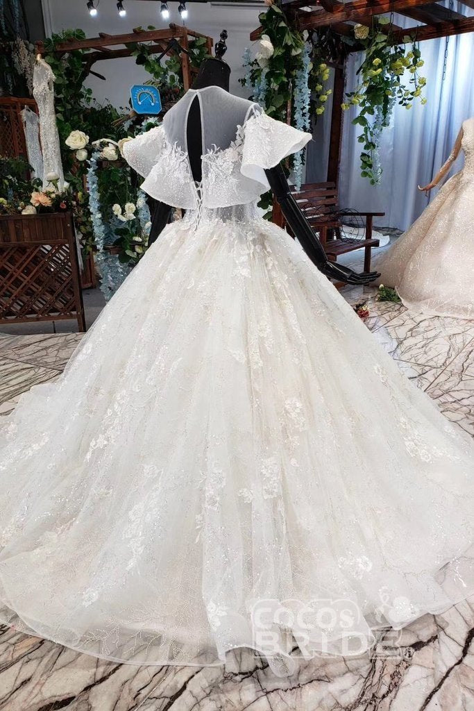 Gorgeous Ball Gown Long Tulle Lace Wedding Dress with Sleeves