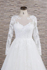 Plus Size Long A-line Applqiues Lace Tulle Wedding Dress with Sleeves