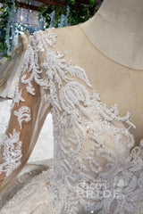 Princess Sleeves Tulle Ball Gown Lace Long Wedding Dress