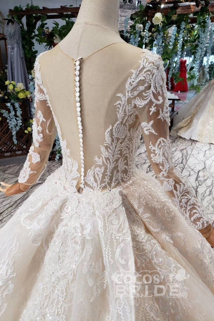 Princess Sleeves Tulle Ball Gown Lace Long Wedding Dress