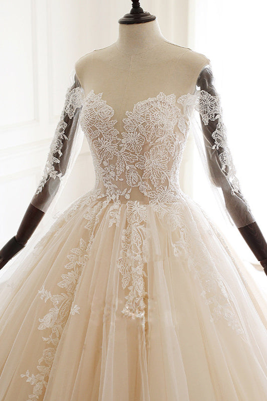 Chic Long Ball Gowns Sweetheart Tulle Lace Wedding Dress with Sleeves