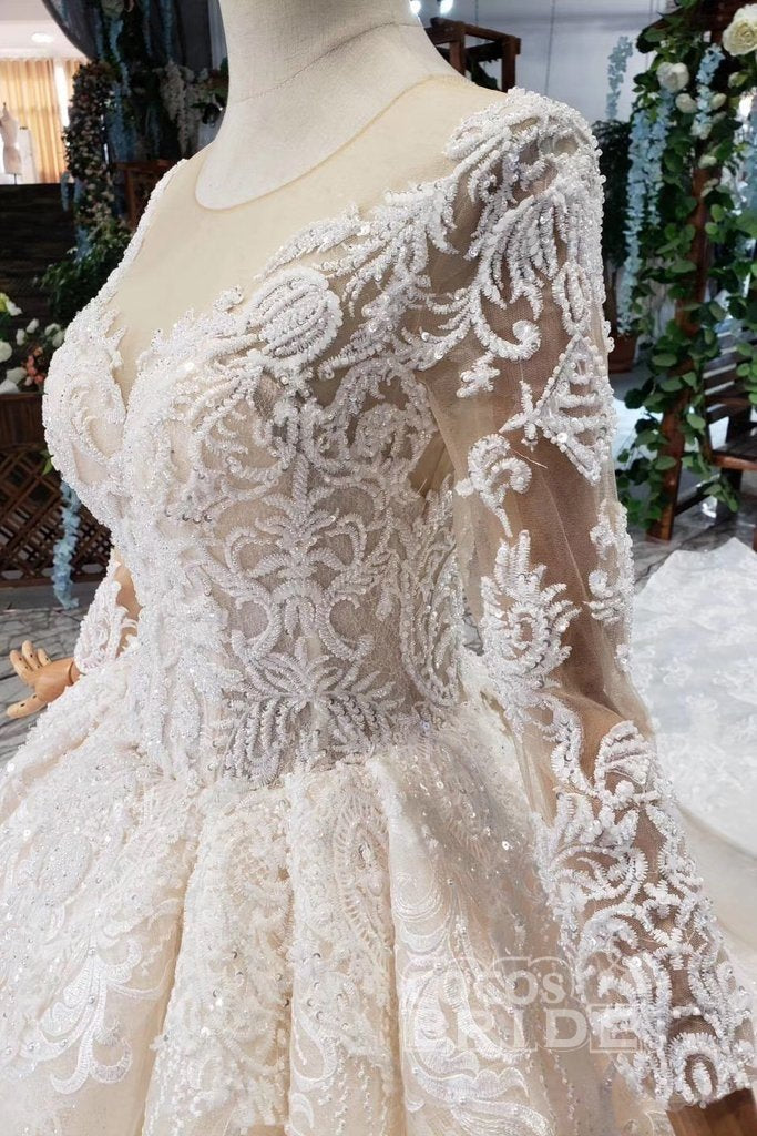 Princess Sleeves Tulle Ball Gown Lace Long Wedding Dress