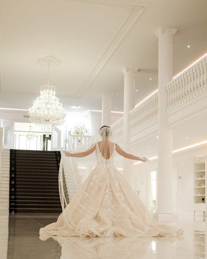 Plus Size A-Line Deep V-neck Spaghetti Straps Appliques Lace Backless Floor Length Wedding Dress