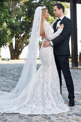 Gorgeous Long Mermaid V-neck Lace Wedding Dresses with Sleeves
