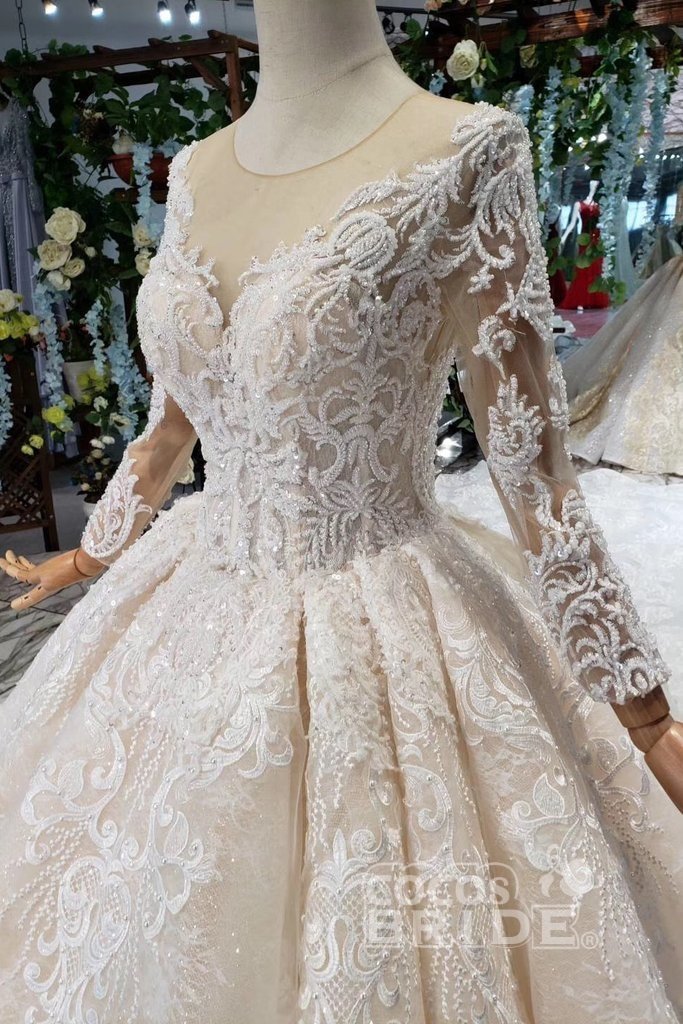 Princess Sleeves Tulle Ball Gown Lace Long Wedding Dress