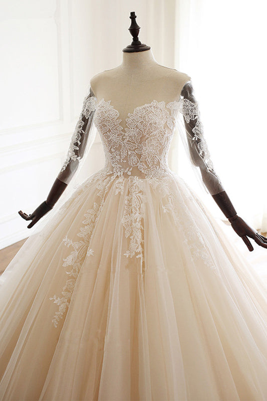 Chic Long Ball Gowns Sweetheart Tulle Lace Wedding Dress with Sleeves