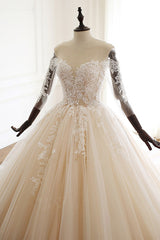 Chic Long Ball Gowns Sweetheart Tulle Lace Wedding Dress with Sleeves