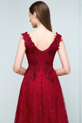 Long V-neck Tulle Lace A-line Evening Formal Dress