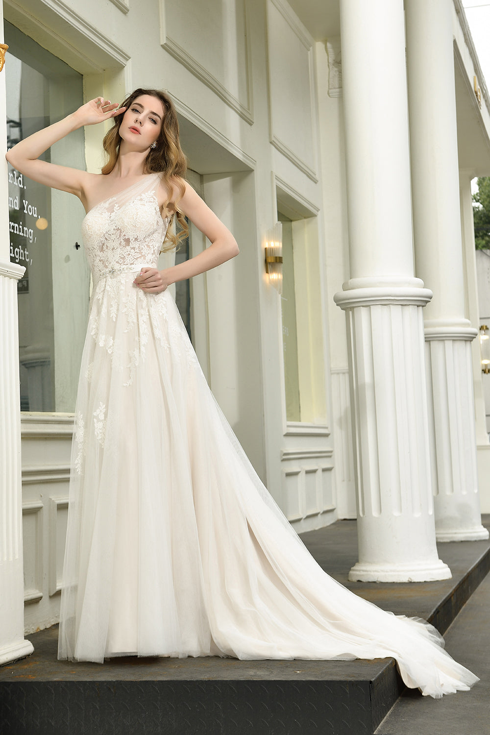 Elegant Long A-line One Shoulder Lace Tulle Backless Wedding Dresses