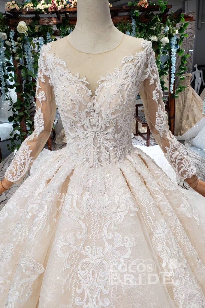 Princess Sleeves Tulle Ball Gown Lace Long Wedding Dress