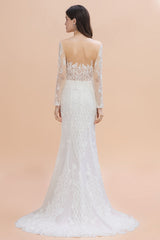 Mermaid Tulle Lace Long Sleeve Wedding Dresses With Detachable Train