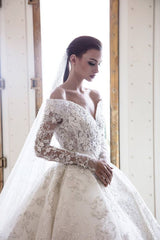 Gorgeous Long Off the Shoulder Backless Appliques Lace A-Line Wedding Dress with Long Sleeve