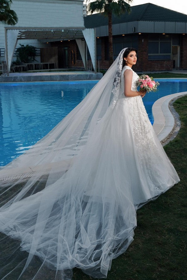 Gorgeous Long A-line V-neck Tulle Sleeveless Lace Wedding Dresses